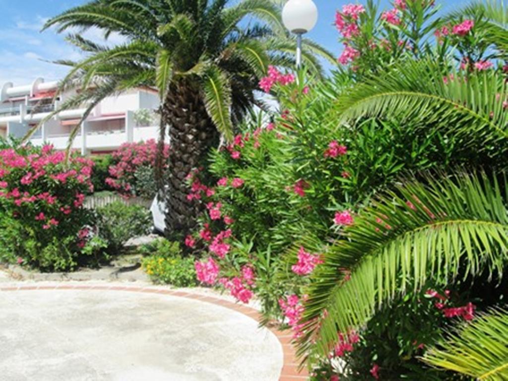 Vittoria Immobilier 12 -Reglement Sur Place - Cheques Vacances Acceptes ลา กร็องเดอ-ม็อต ภายนอก รูปภาพ
